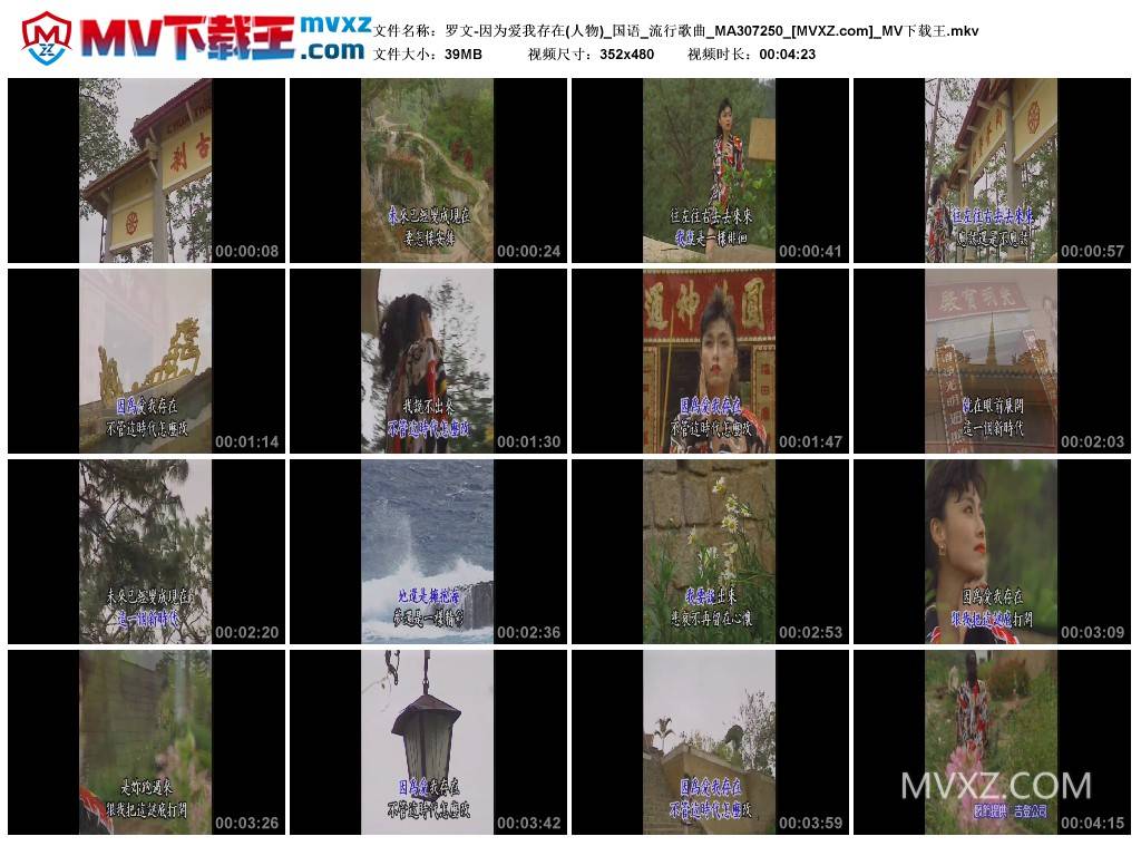 罗文-因为爱我存在(人物)_国语_流行歌曲_MA307250